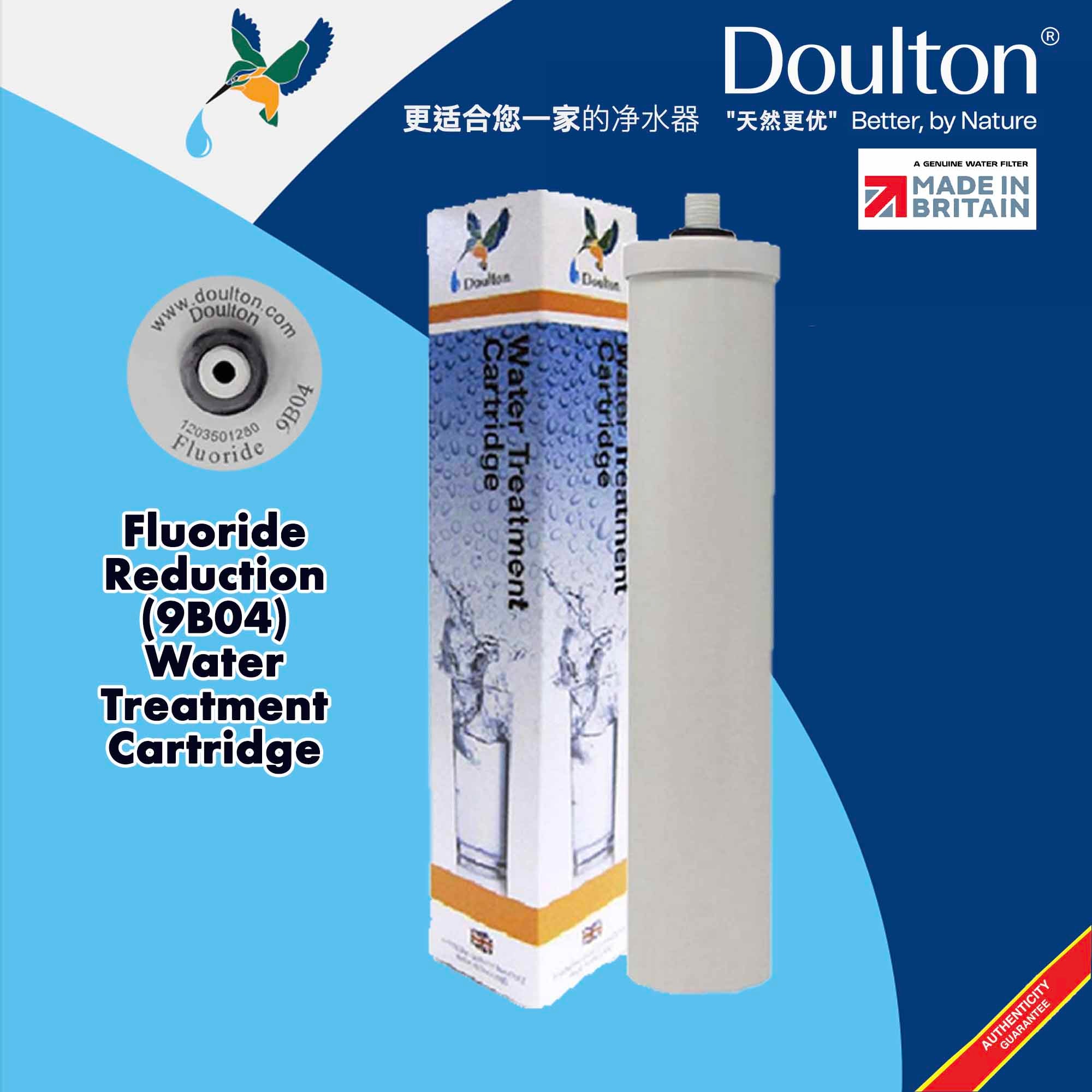 Doulton Fluoride 9B04 (2PC)