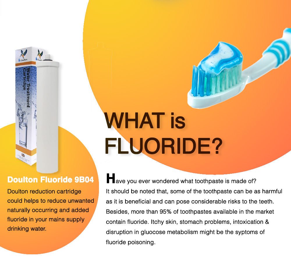 (Limited time offer! Free 1x adhoc Onsite installation) Doulton HIS + DIS Combo: The Ultimate Stainless Steel Undercounter Water Purification System with Fluoride Treatment and NSF-Certified Biotect Ultra Filtration!