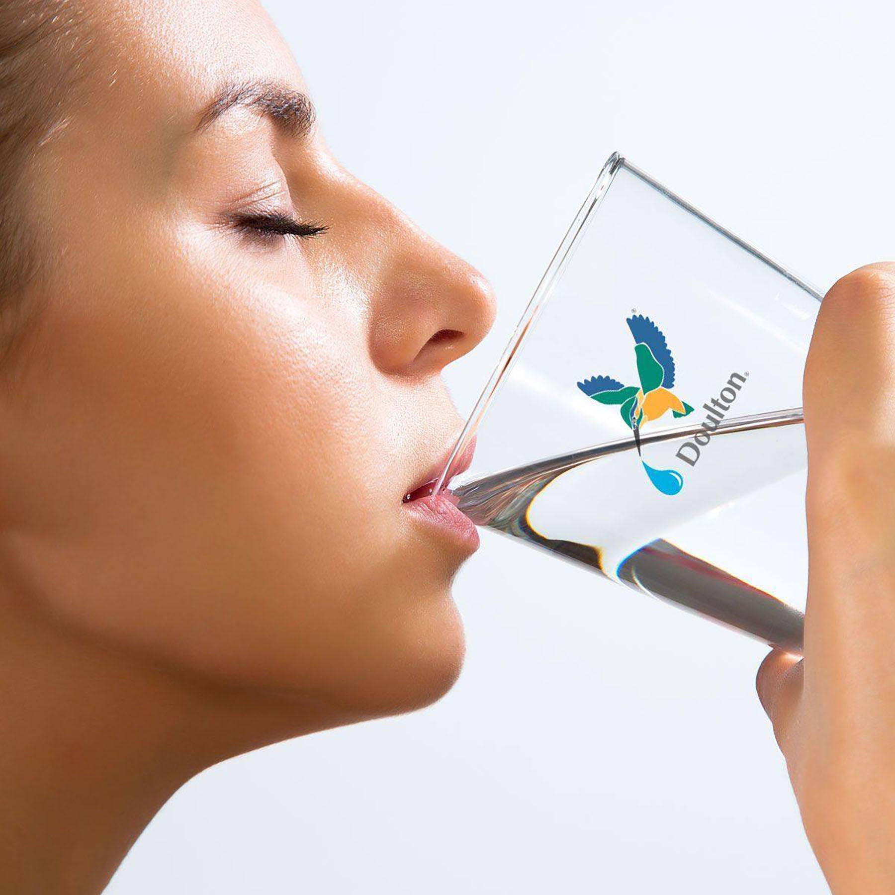 Doulton Ultracarb NSF Certified Inline Undersink Filtration - Pure Water, Simplified System - Shipping only