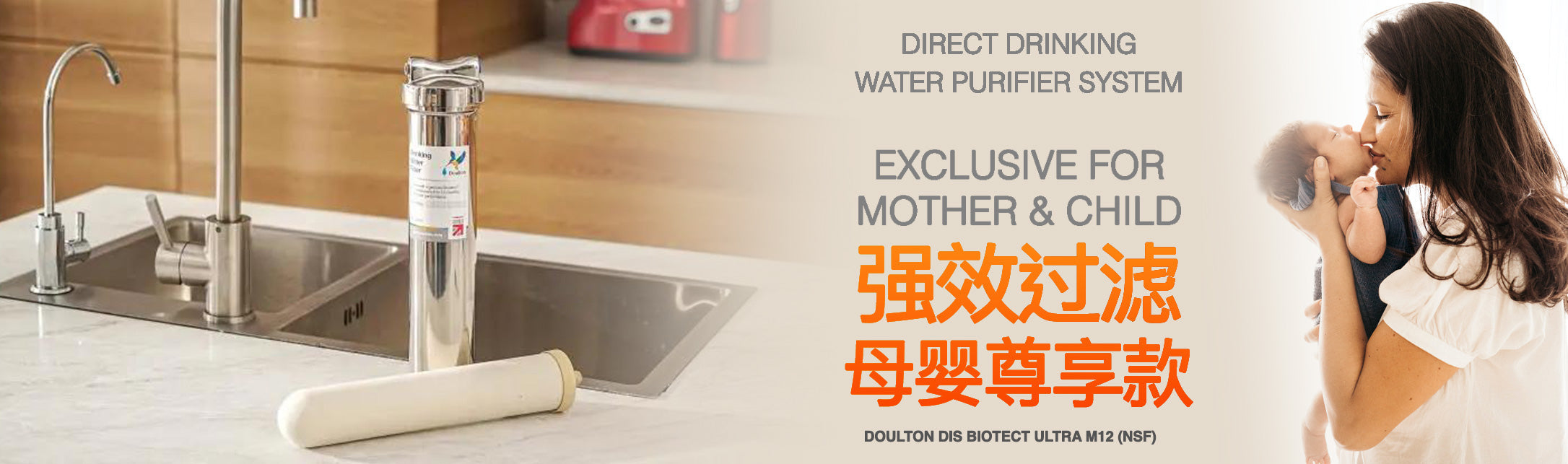 (🔥 Save S$150 on Onsite Installation! 🔥 Limited-time offer) Doulton HIS + DIS Combo: The Ultimate Stainless Steel Undercounter Water Purification System with Fluoride Treatment and NSF-Certified Biotect Ultra Filtration!